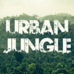 Urban Jungle Font Apk