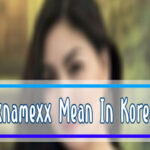 Proxy Xxnamexx Mean in Korea APK